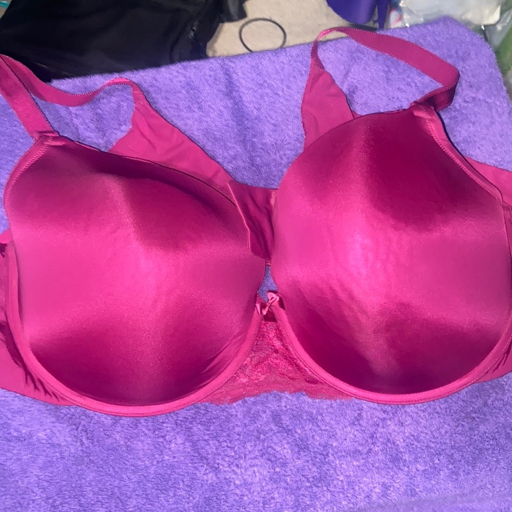 Torrid bra